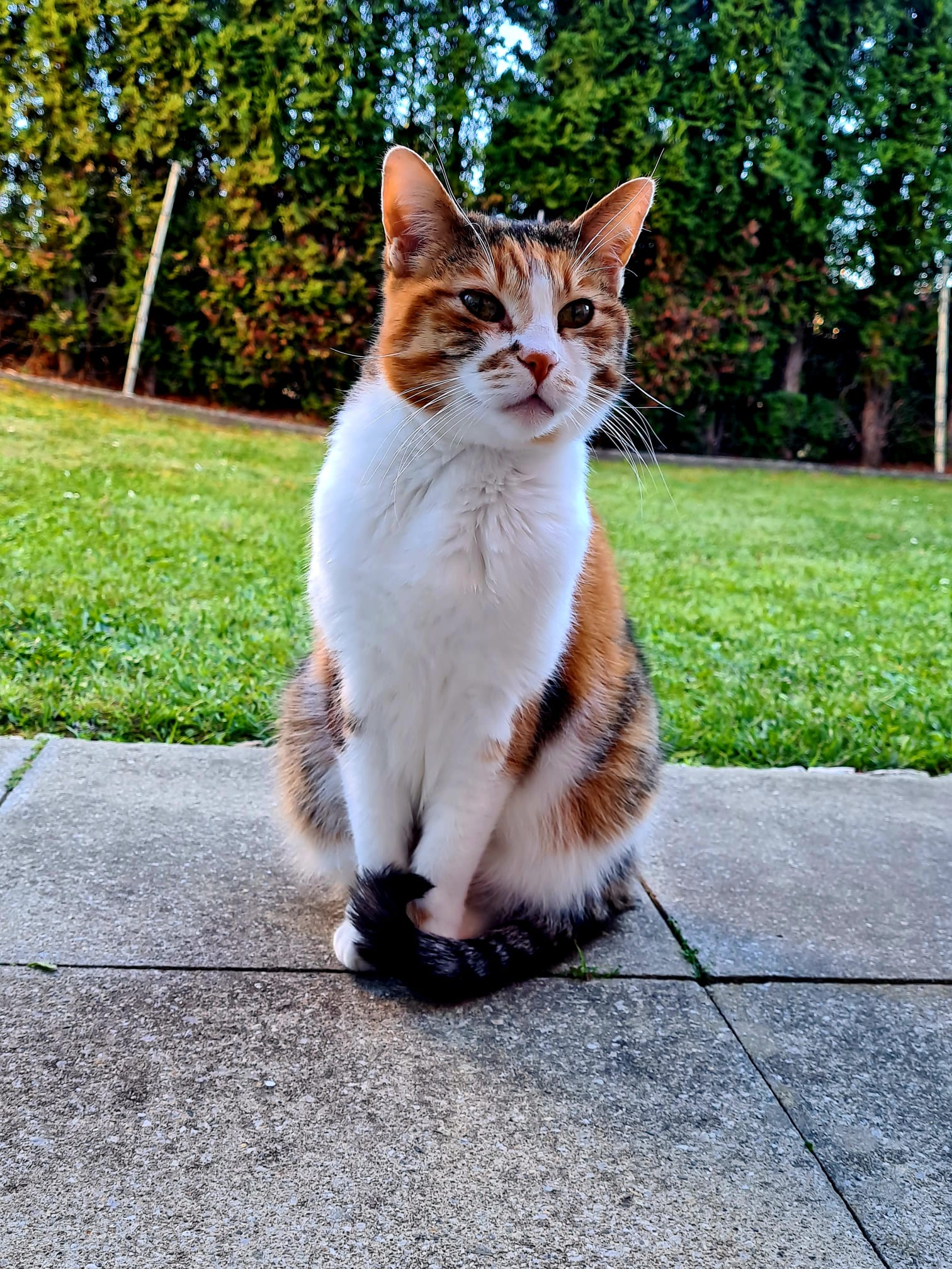 WhatsApp Image 2026 02 17 At 141556 KTYjVn