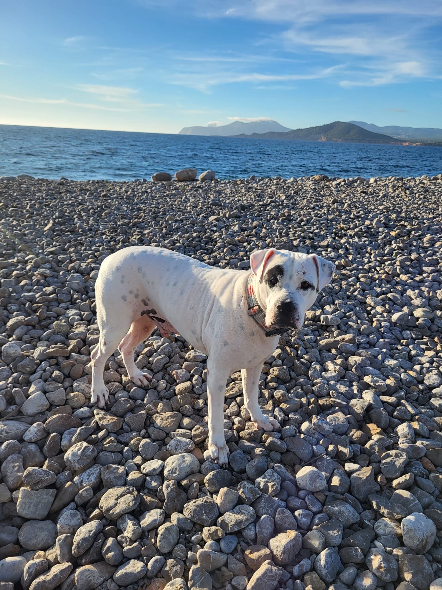 4d6cf5bb 8334 4402 8824 4a3d5df8ed6b EufOBH